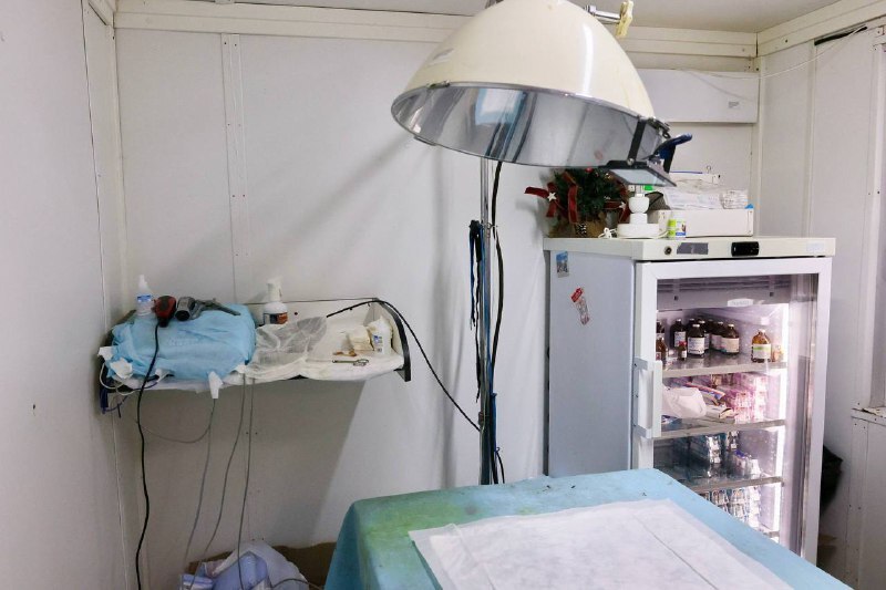 Фото пресс-службы администрации Тобольска 