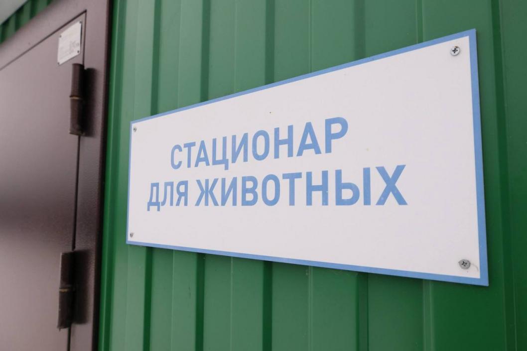 Фото пресс-службы администрации Тобольска 