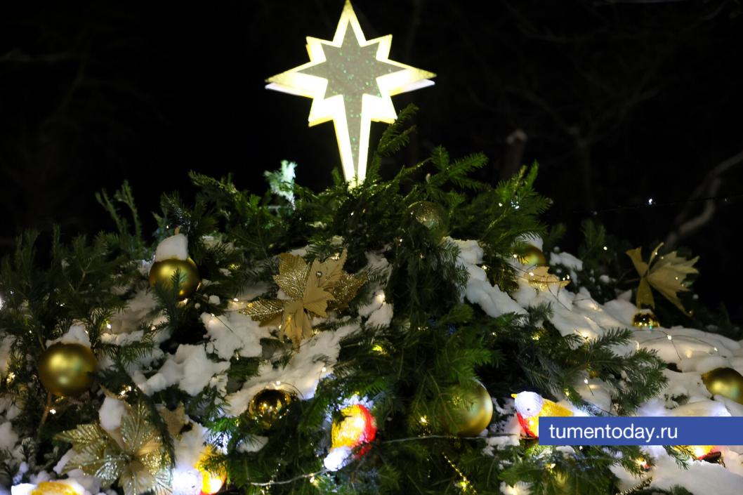 Фото Дениса Моргунова