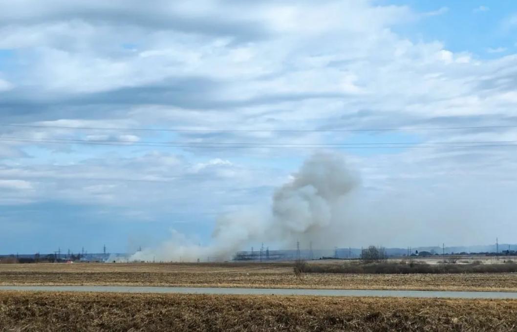 Фото ИИЦ «Сельский вестник», автор неизвестен