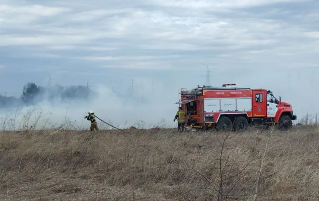 Фото ИИЦ «Сельский вестник», автор неизвестен