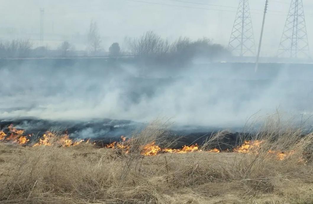 Фото ИИЦ «Сельский вестник», автор неизвестен