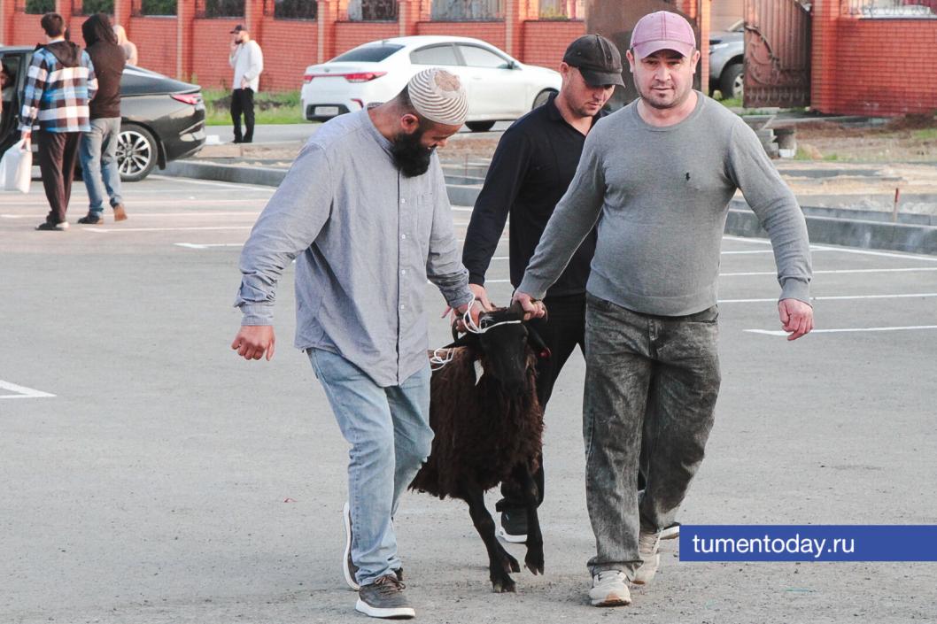 Фото Дениса Моргунова