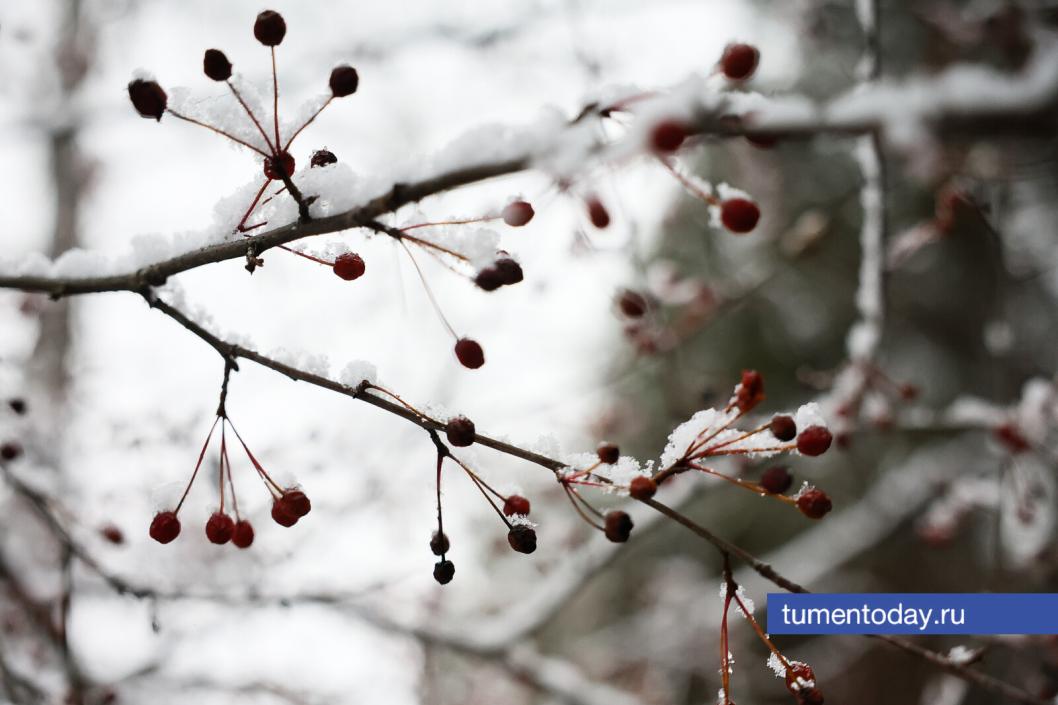 Фото Дениса Моргунова