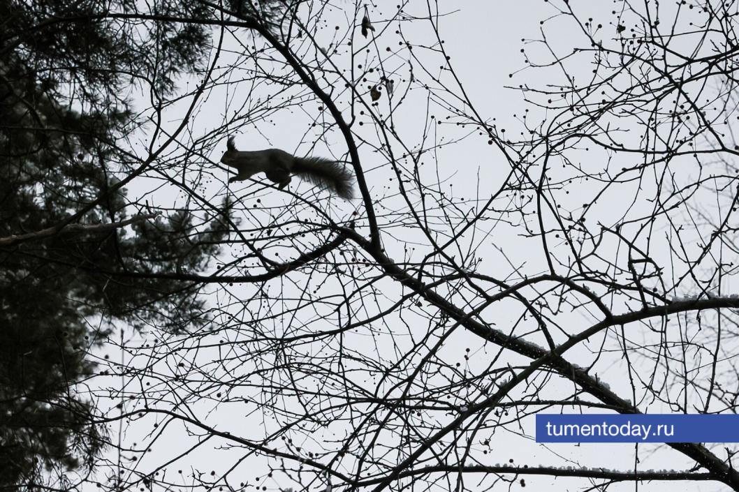 Фото Дениса Моргунова