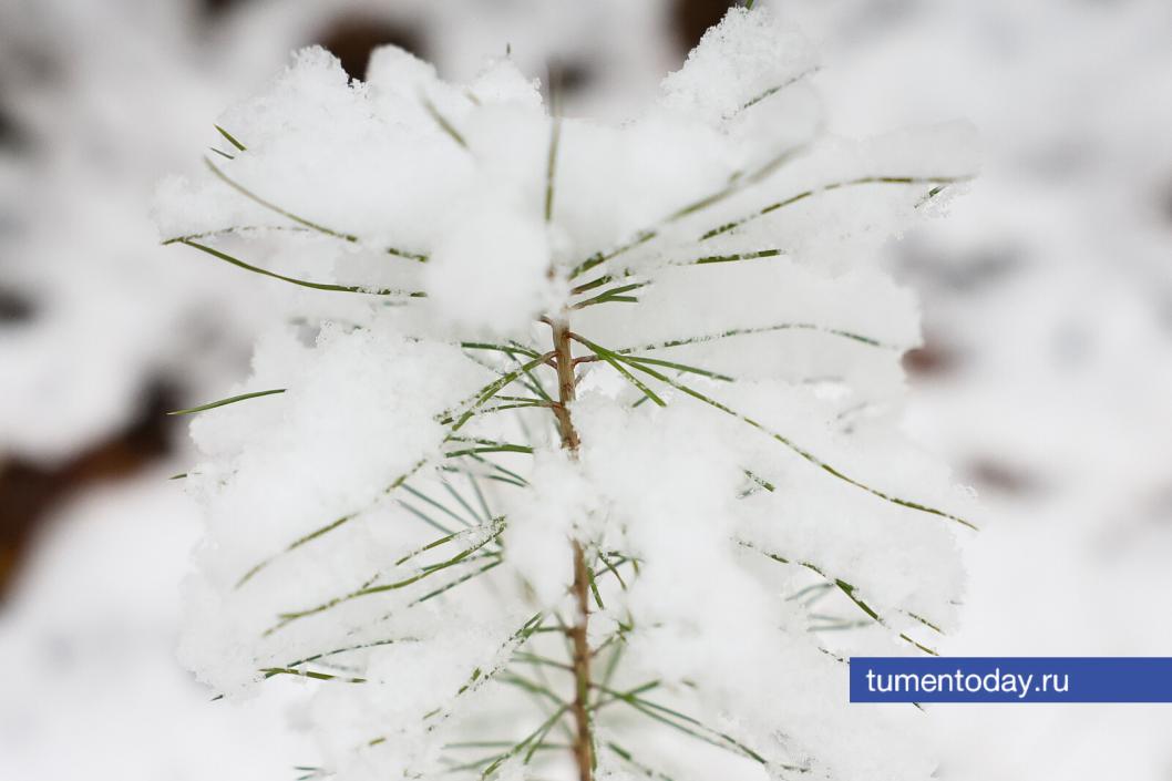 Фото Дениса Моргунова