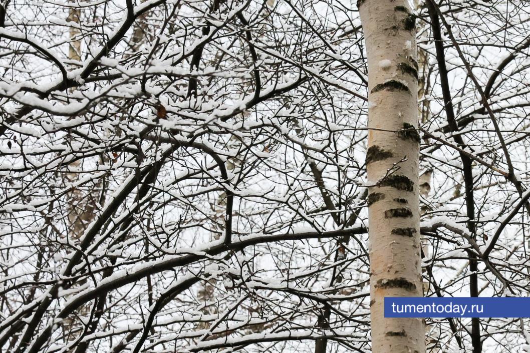 Фото Дениса Моргунова