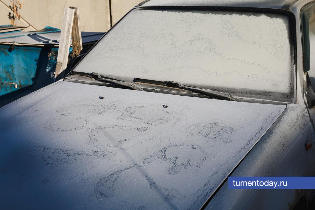 Фото Дениса Моргунова