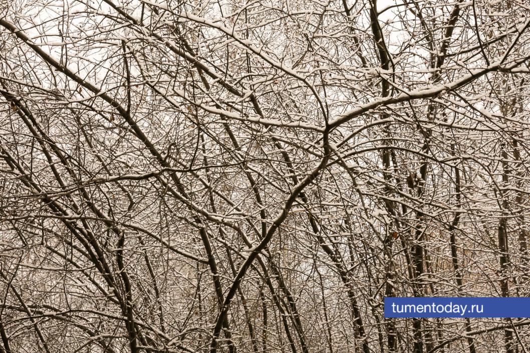 Фото Дениса Моргунова