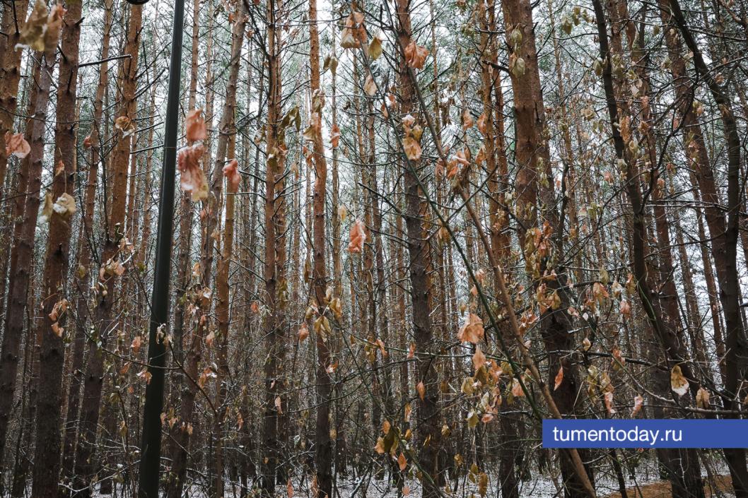 Фото Дениса Моргунова