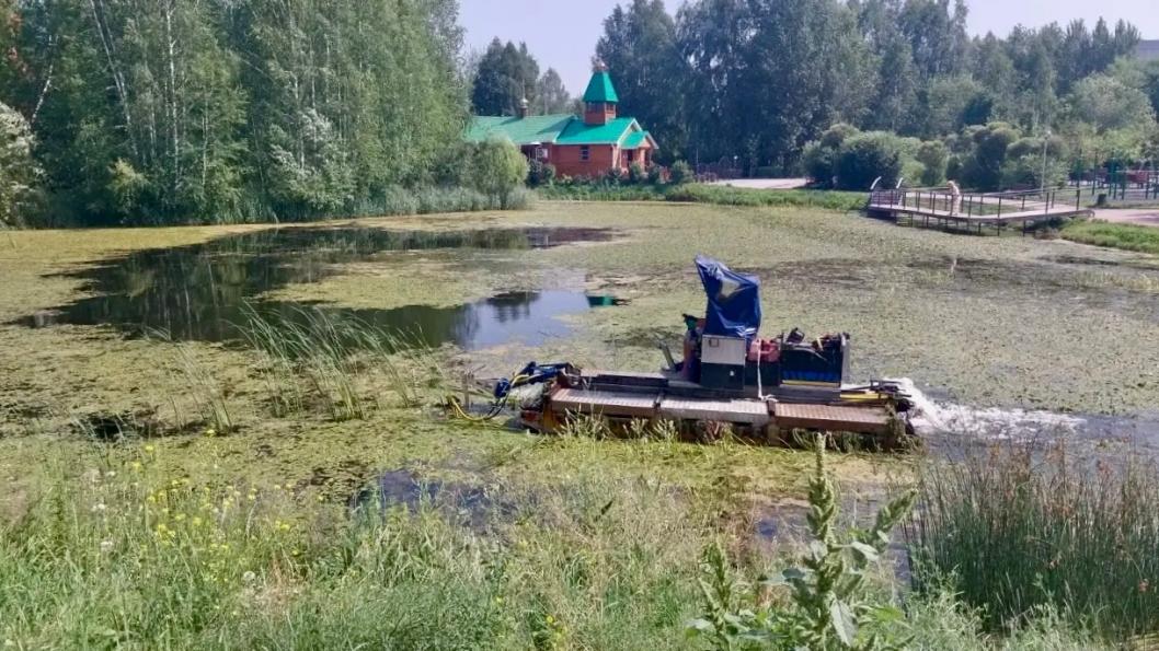 Фото Департамента городского хозяйства Тюмени, автор неизвестен 