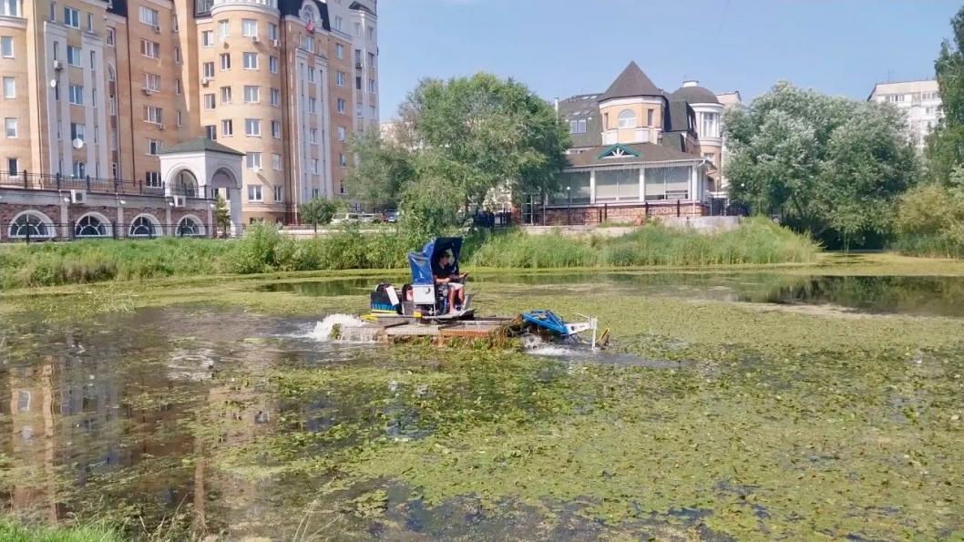 Фото Департамента городского хозяйства Тюмени, автор неизвестен 