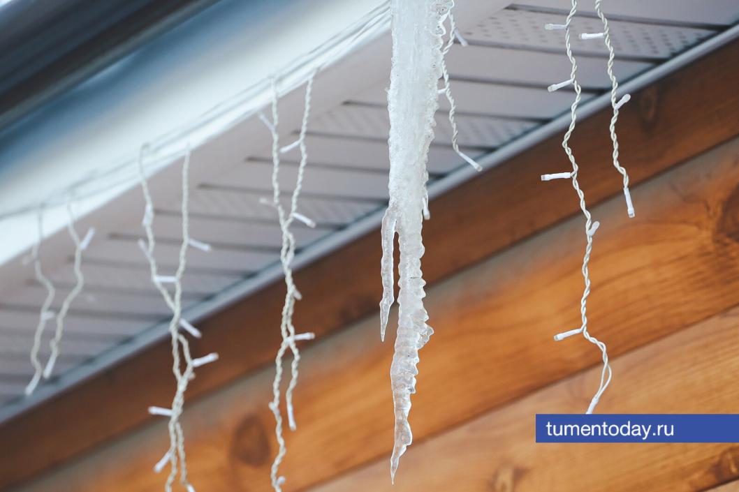 Фото Дениса Моргунова