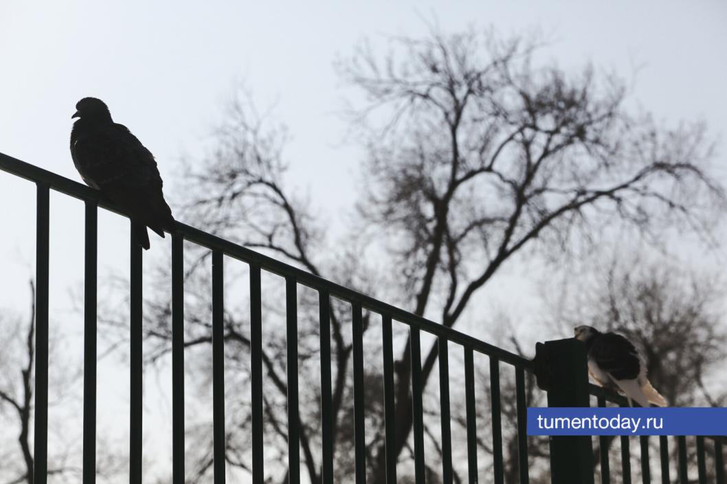 Фото Дениса Моргунова