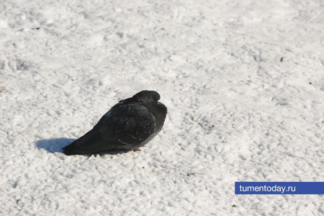 Фото Дениса Моргунова