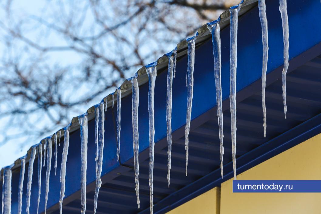 Фото Дениса Моргунова