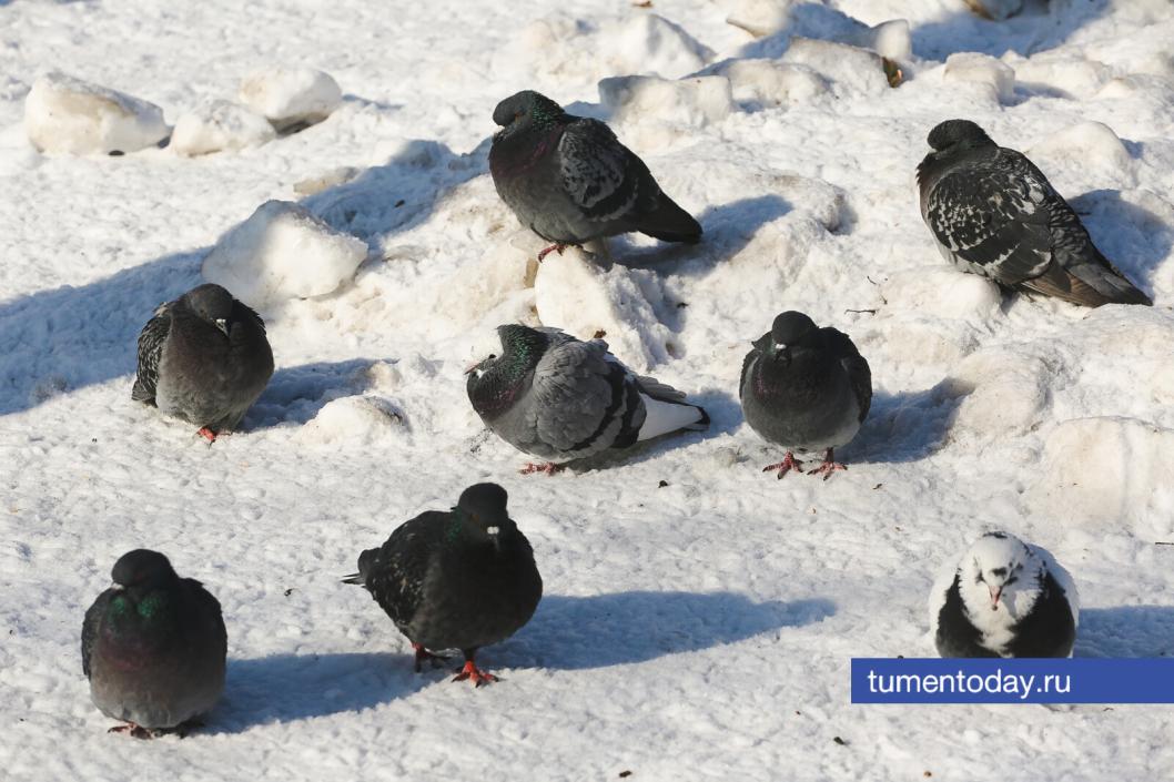 Фото Дениса Моргунова