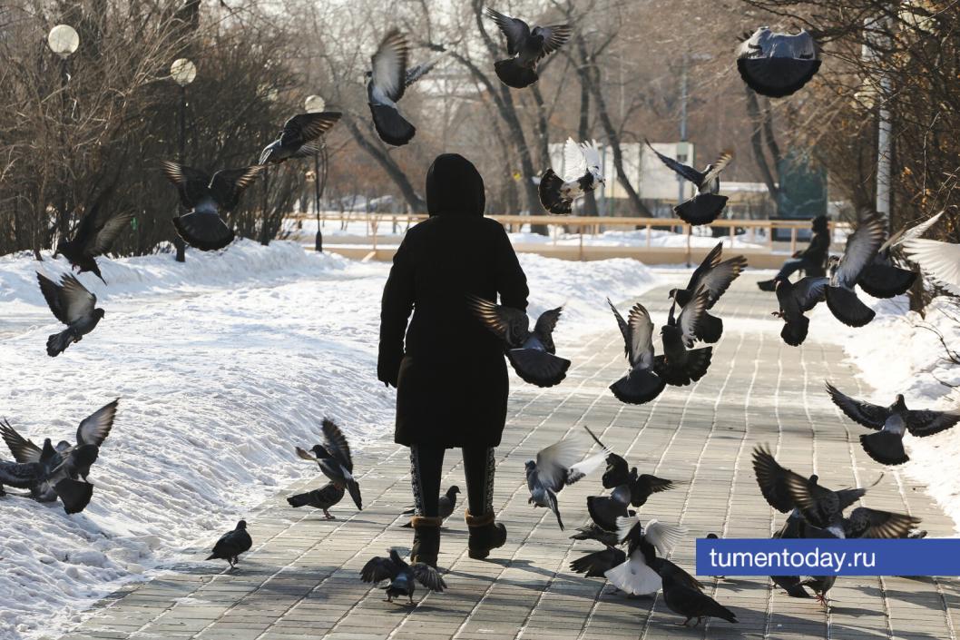 Фото Дениса Моргунова