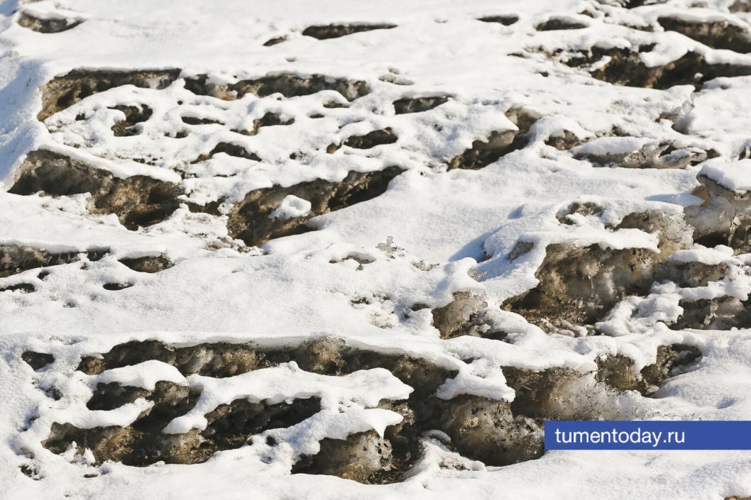 Фото Дениса Моргунова