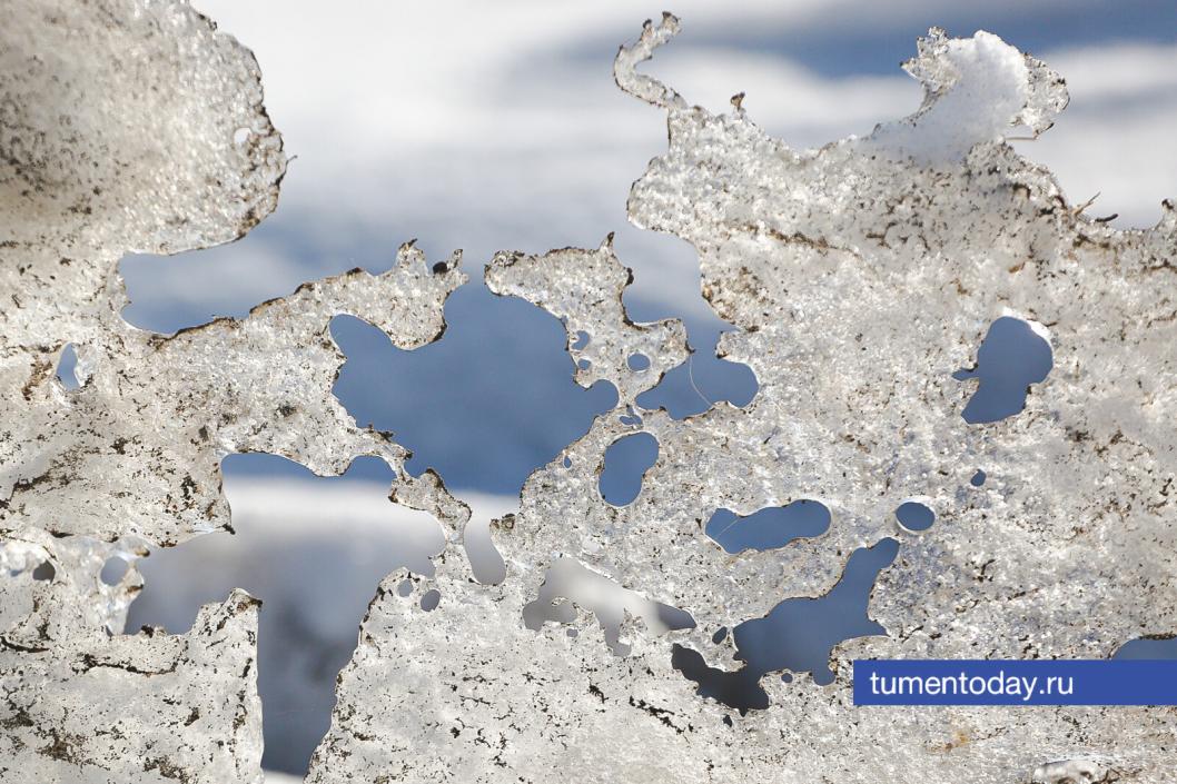 Поиграем в ассоциации? Что вы здесь видите? Быка? Морского котика с мячом? | Фото Дениса Моргунова