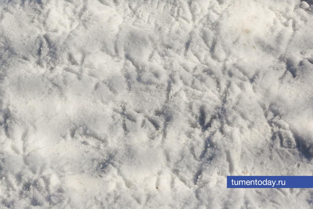 Фото Дениса Моргунова