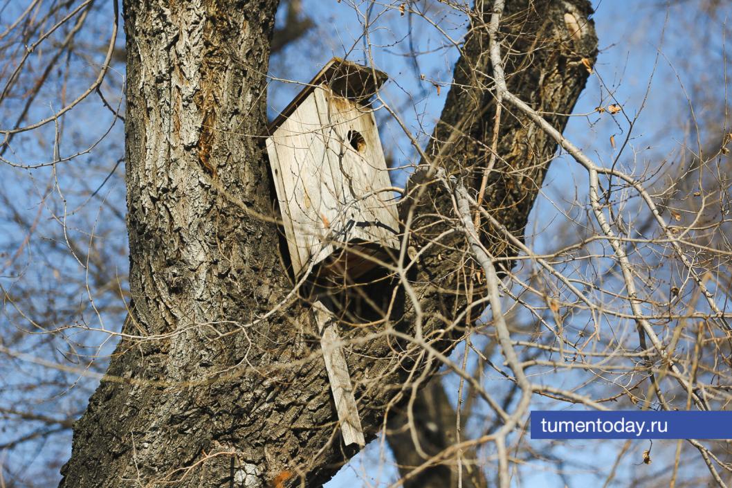 Фото Дениса Моргунова