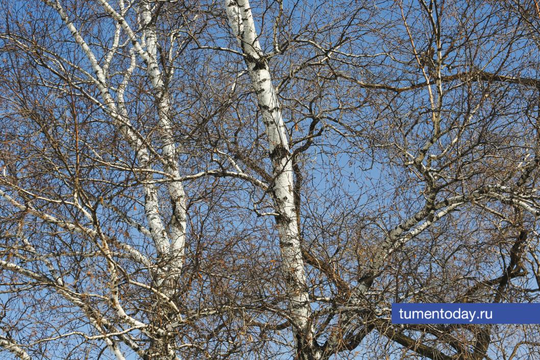 Фото Дениса Моргунова