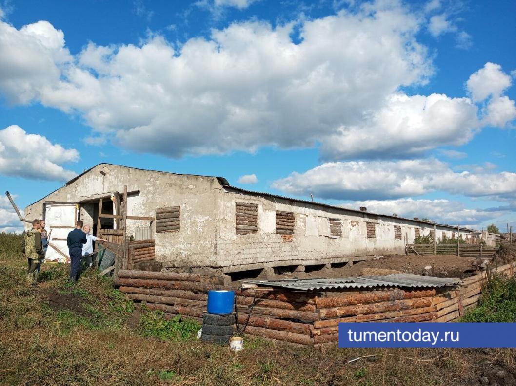 Фото Михаила Кривощекова