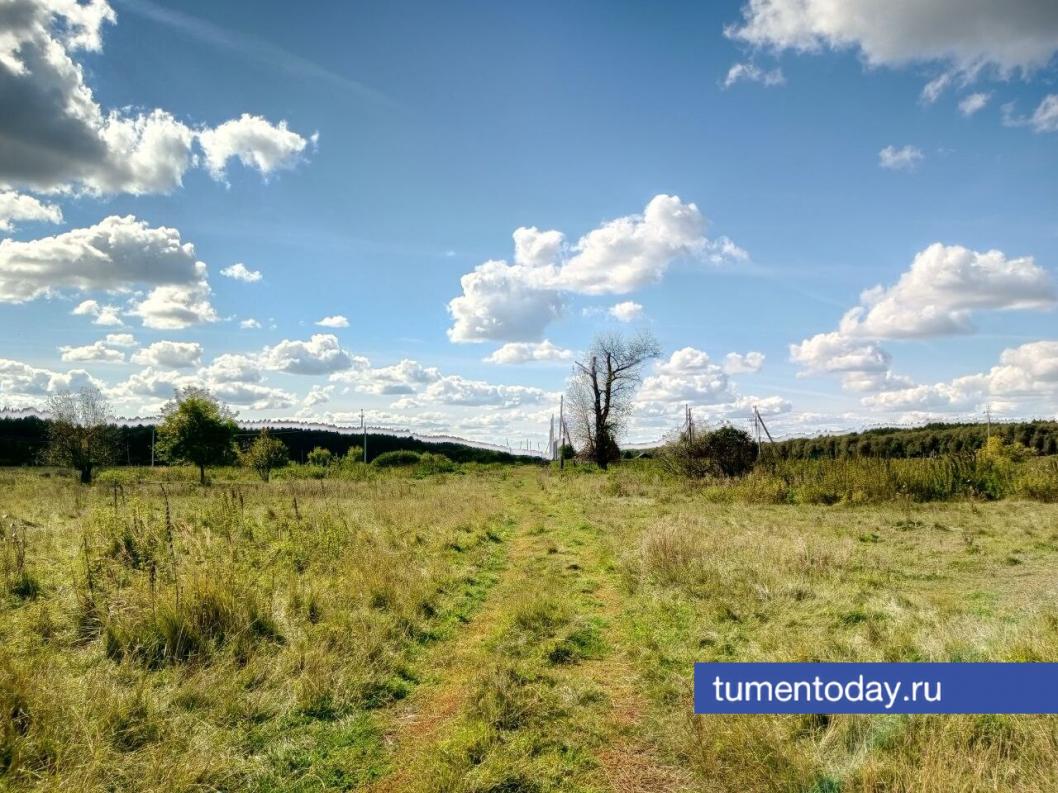 Фото Михаила Кривощекова