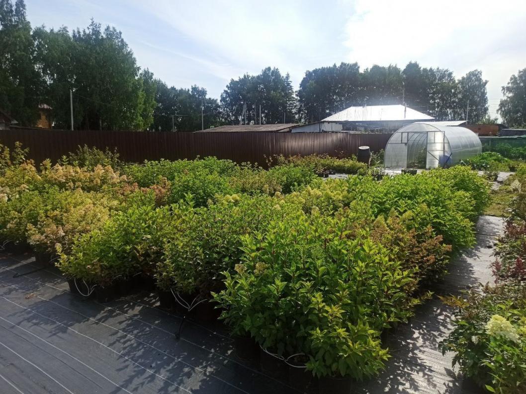 Фото пресс-службы главы Тобольского муниципального округа 