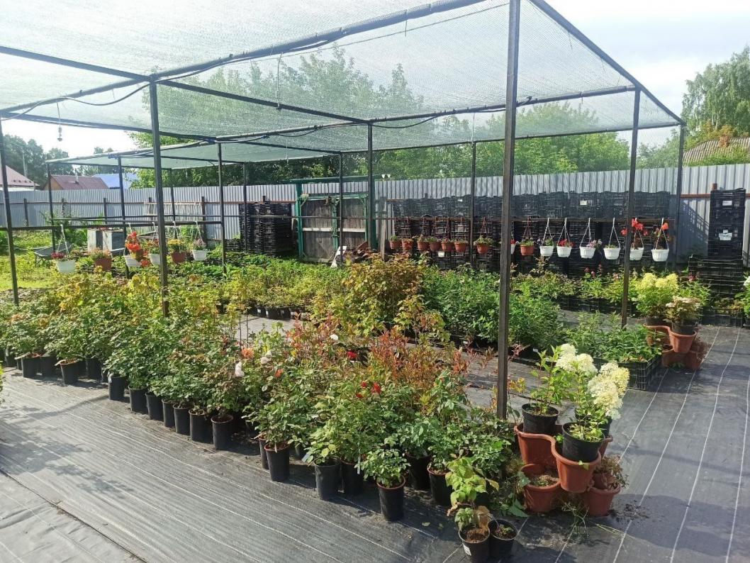 Фото пресс-службы главы Тобольского муниципального округа 