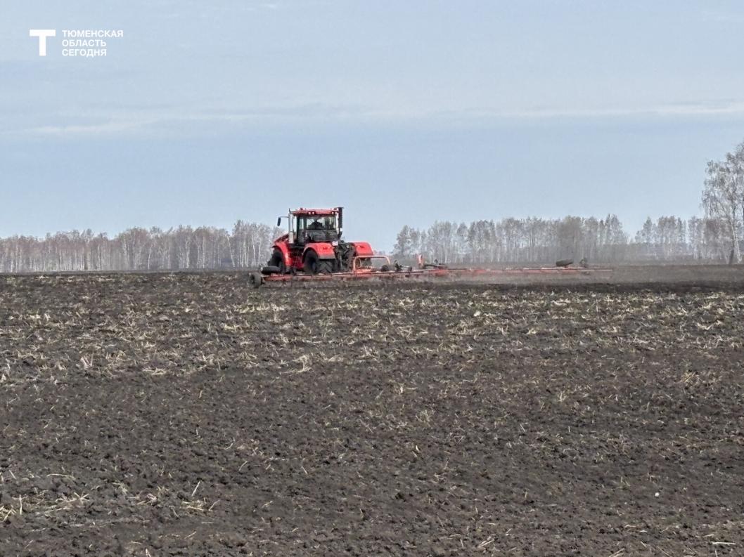 Фото Дениса Моргунова