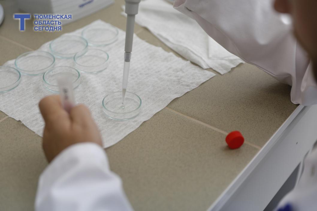 В Тюмени птицефабрику оштрафовали за субпродукты с антибиотиками