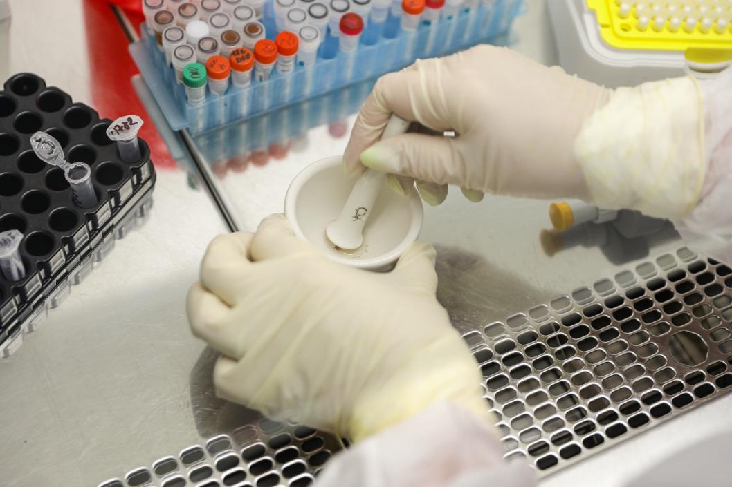 Фото Екатерины Христозовой