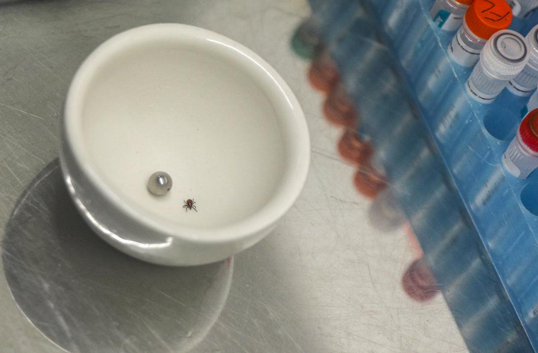 Фото Екатерины Христозовой