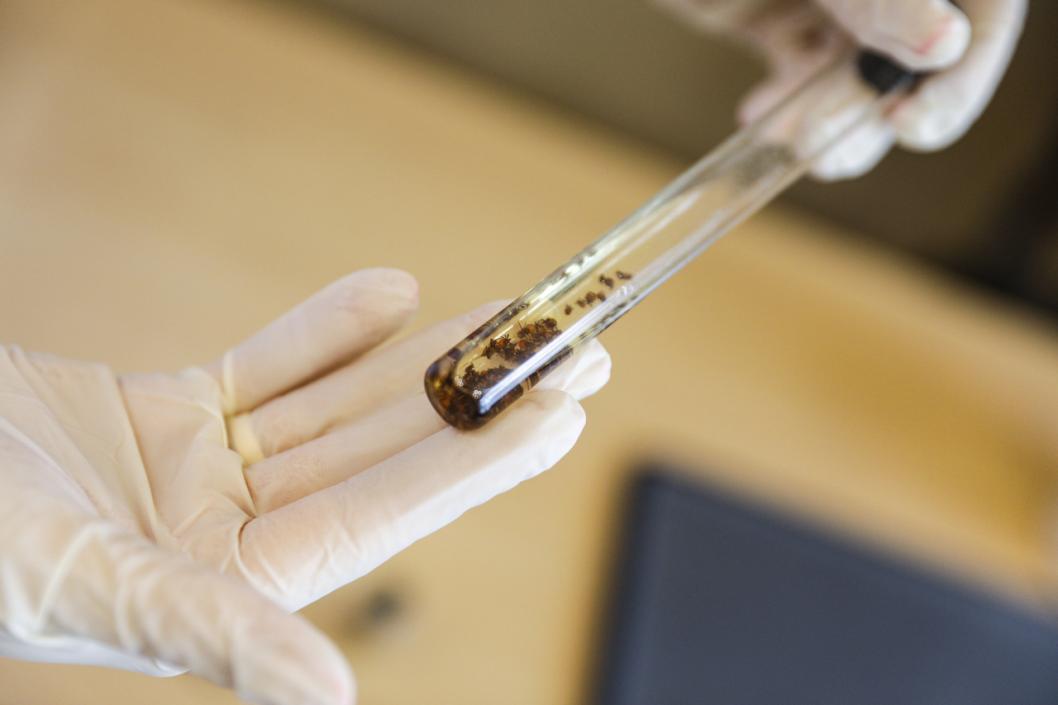 Фото Екатерины Христозовой