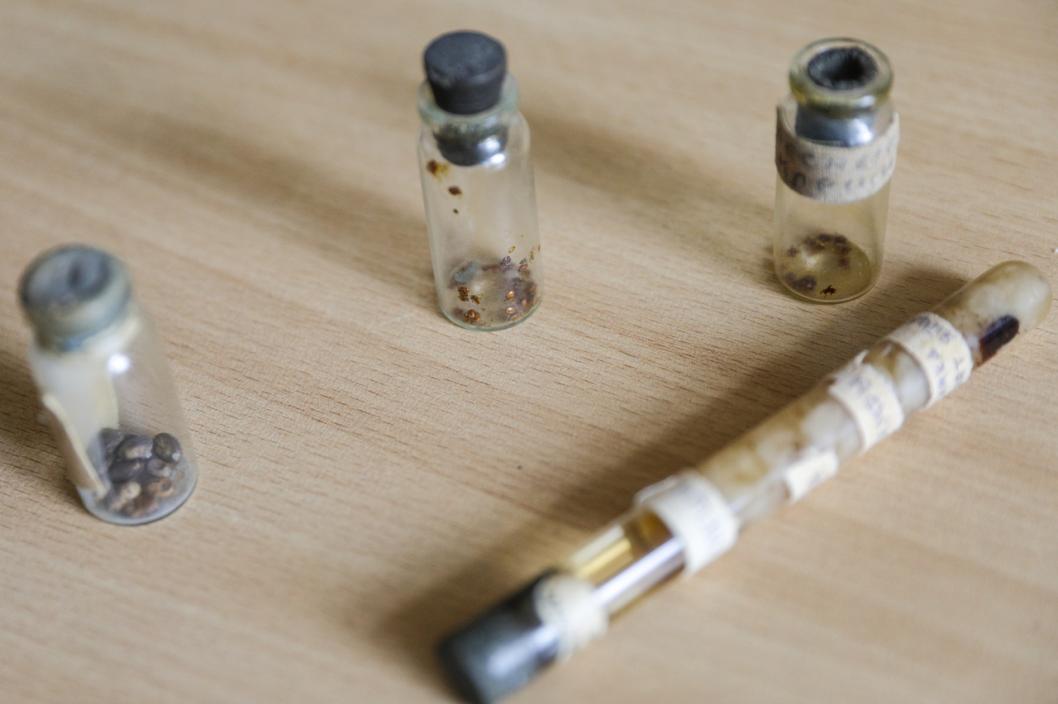 Фото Екатерины Христозовой