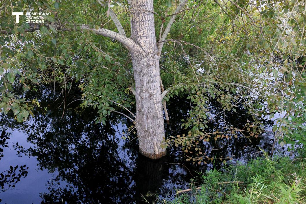 Фото Дениса Моргунова 