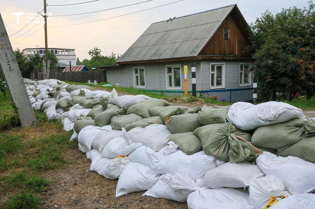 Фото Дениса Моргунова 