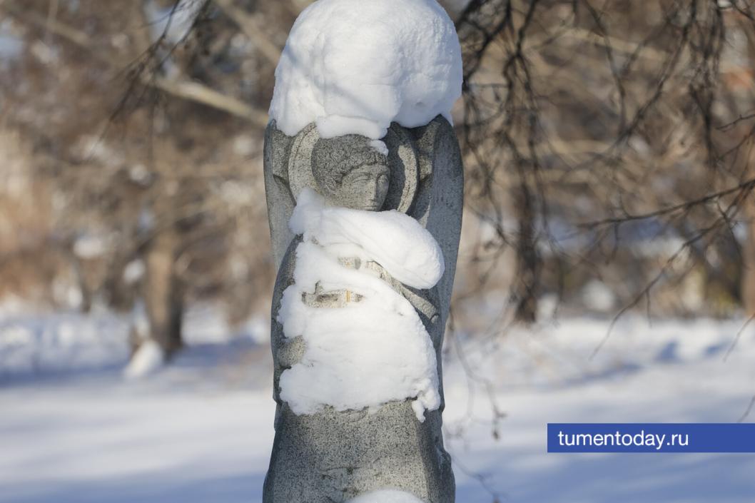 Фото Дениса Моргунова