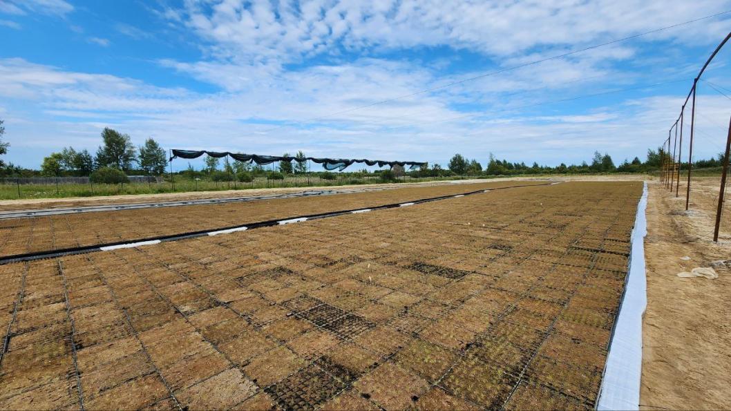 Фото Инвестиционного агентства Тюменской области