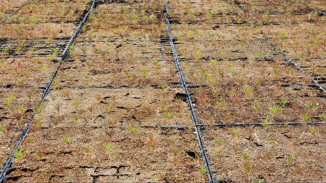Фото Инвестиционного агентства Тюменской области