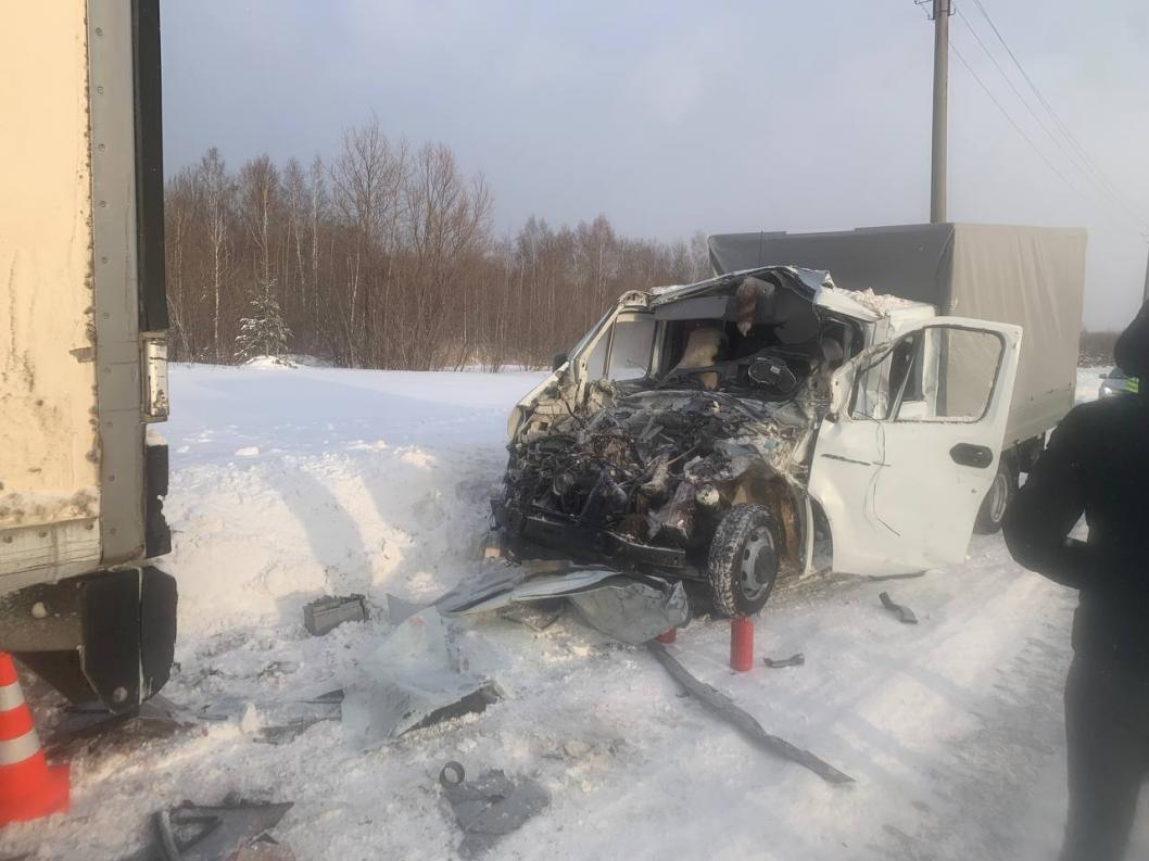 Пострадавший на тобольской трассе водитель «Газели» находится в реанимации  в тяжелом состоянии