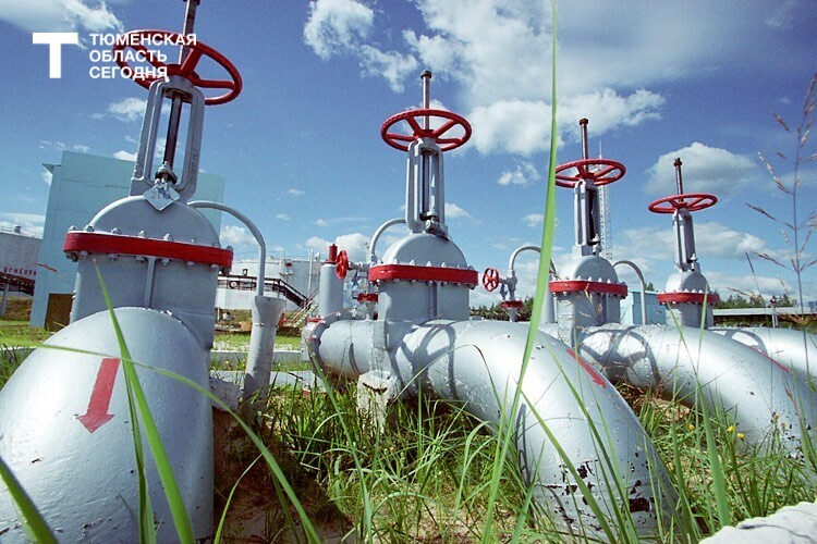 Женщины в ТЭК: как «мягкая сила» и цифровизация меняют нефтянку