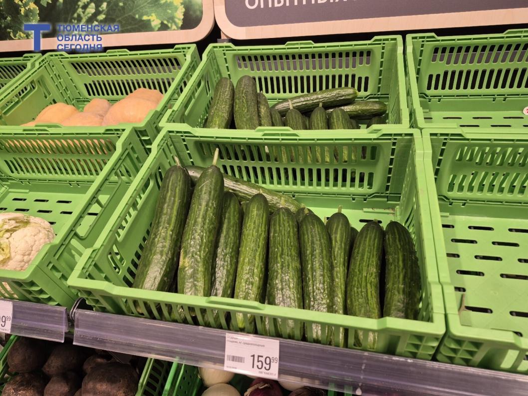 Фото Елены Ковалевой