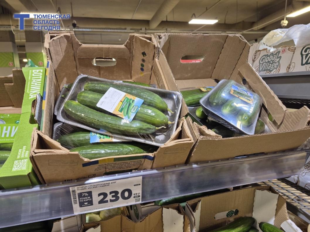 Фото Елены Ковалевой