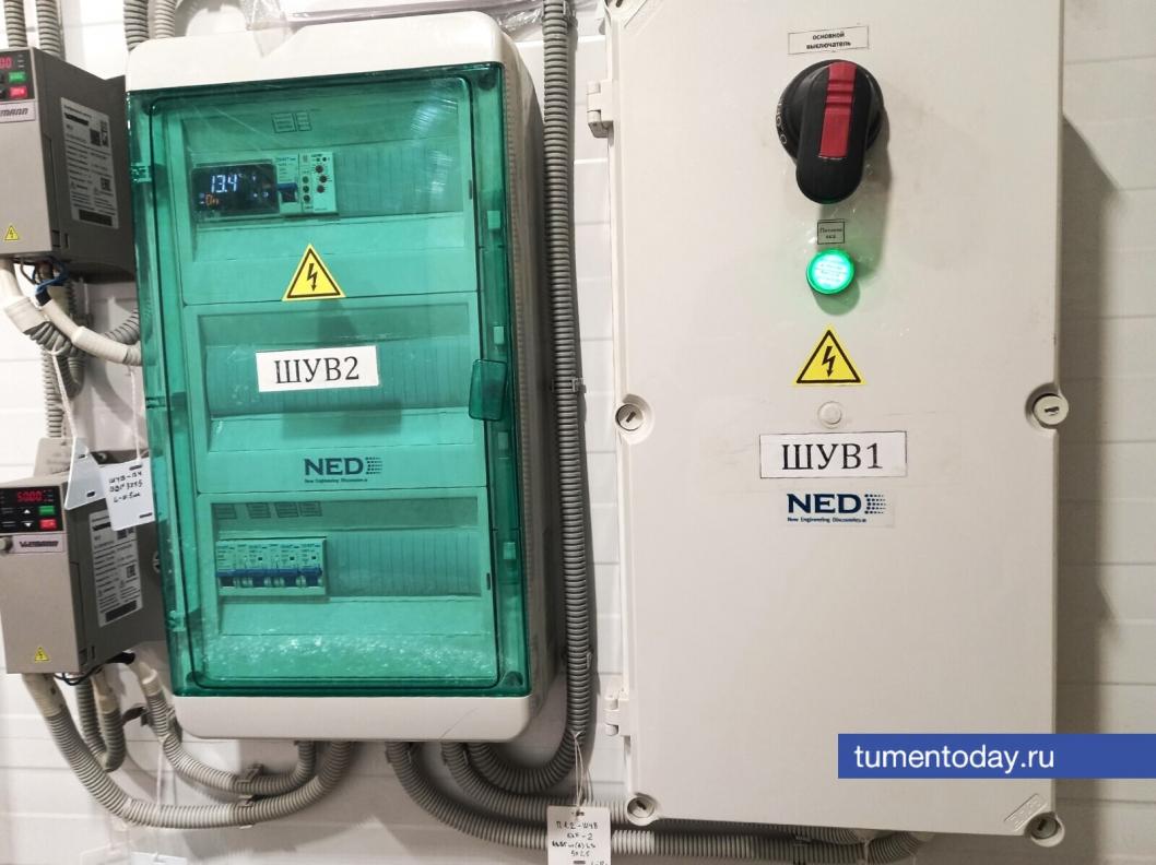 Фото Елены Ковалевой