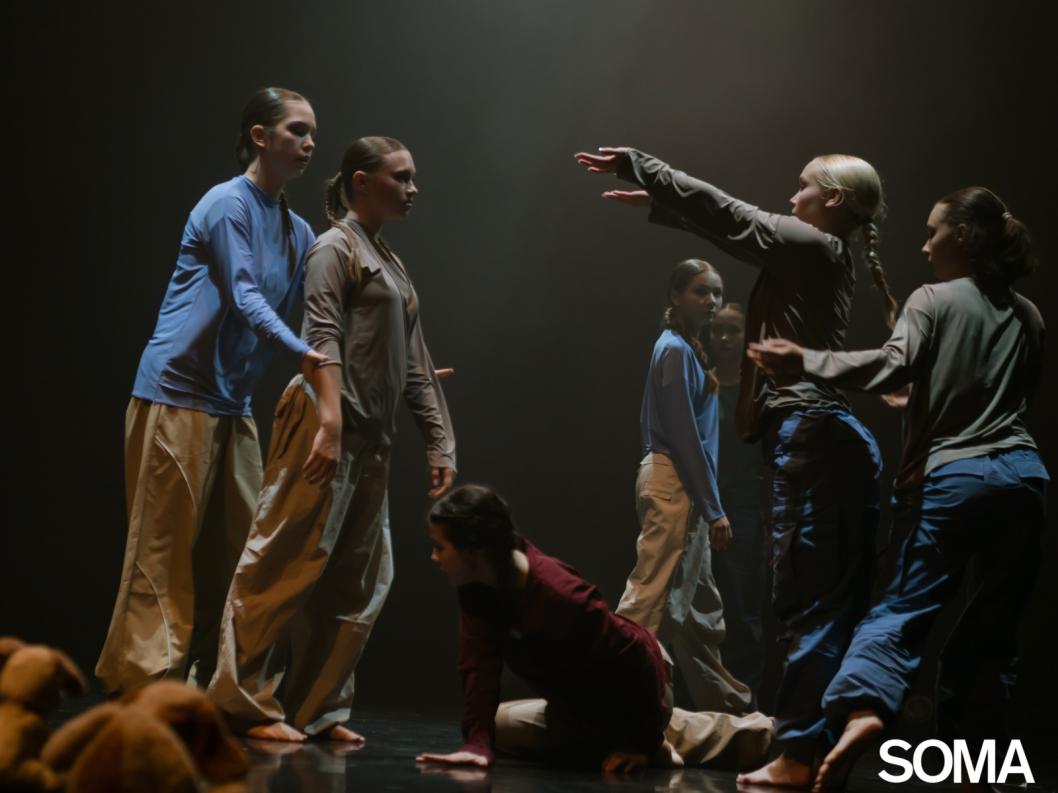 Фото: фестиваль хореографических спектаклей Soma