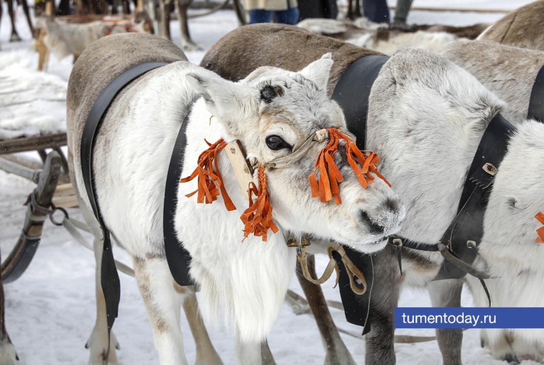 Фото Екатерины Христозовой 