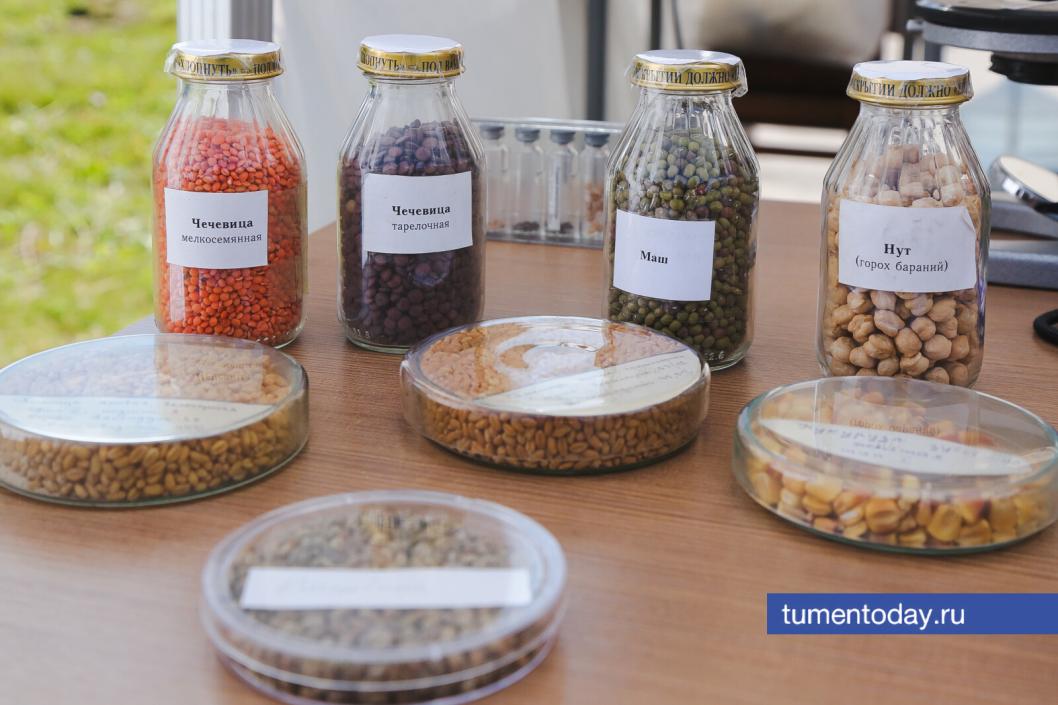 Фото Дениса Моргунова